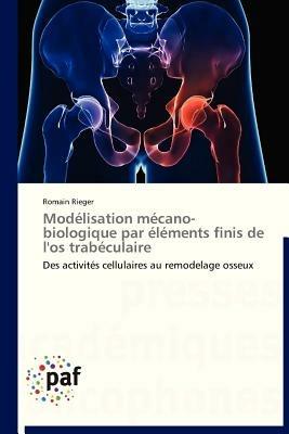 Modelisation Mecano-Biologique Par Elements Finis de l'Os Trabeculaire - Rieger-R - cover