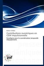 Contributions Numeriques En Cem Impulsionnelle