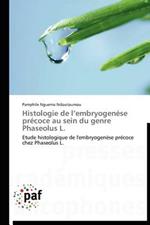 Histologie de L Embryogenese Precoce Au Sein Du Genre Phaseolus L.