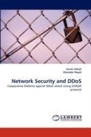 Network Security and DDoS