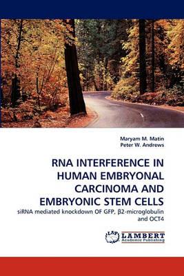 RNA Interference in Human Embryonal Carcinoma and Embryonic Stem Cells - Maryam M Matin,Peter W Andrews - cover