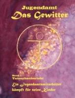 Jugendamt - Das Gewitter: Ein Jugendamtsmitarbeiter kämpft für seine Kinder - Bernhard R Nette - cover