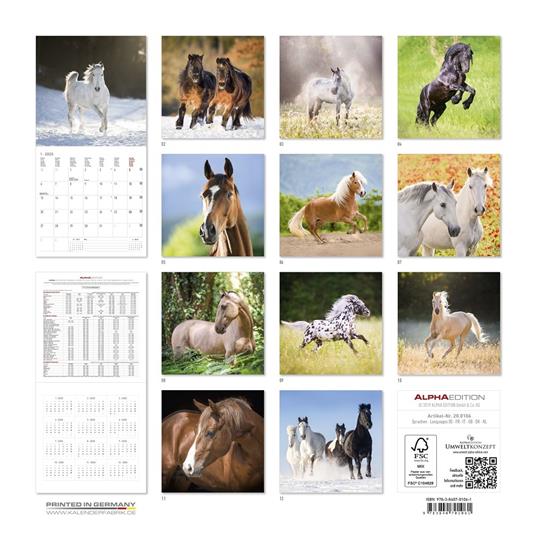 Calendario da parete 2020 Cavalli Alpha Edition - 30x30 - 2