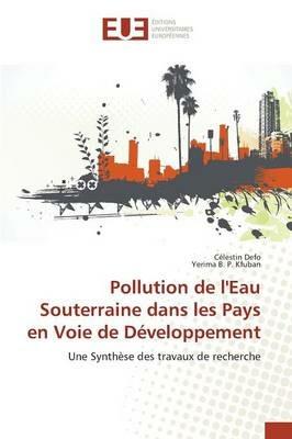 Pollution de l'Eau Souterraine Dans Les Pays En Voie de Developpement - Collectif - cover