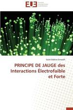 Principe de Jauge Des Interactions  lectrofaible Et Forte