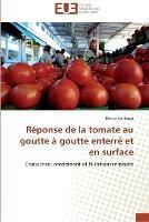 Reponse de la tomate au goutte a goutte enterre et en surface - Kahlaoui-B - cover