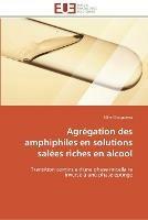 Agregation des amphiphiles en solutions salees riches en alcool
