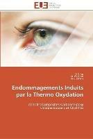 Endommagements induits par la thermo oxydation - Collectif - cover