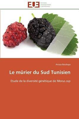 Le M rier Du Sud Tunisien - Boubaya-A - cover
