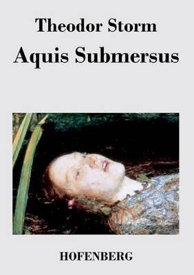Aquis Submersus: Novelle - Theodor Storm - cover