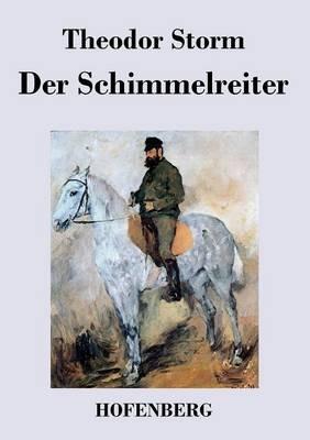 Der Schimmelreiter - Theodor Storm - cover