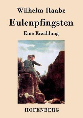 Eulenpfingsten: Eine Erzählung - Wilhelm Raabe - cover