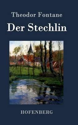 Der Stechlin: Roman - Theodor Fontane - cover