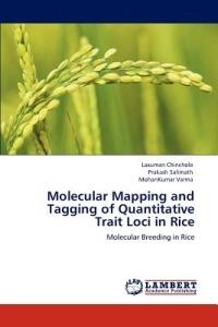 Molecular Mapping and Tagging of Quantitative Trait Loci in Rice - Laxuman Chinchole,Prakash Salimath,Mohankumar Varma - cover