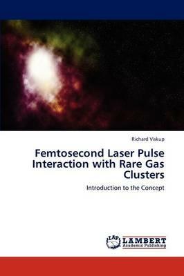 Femtosecond Laser Pulse Interaction with Rare Gas Clusters - Richard Viskup - cover