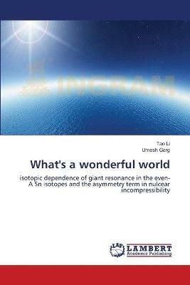 What's a wonderful world - Tao Li,Umesh Garg - cover
