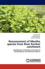Reassessment of Mentha Species from River Kunhar Catchment
