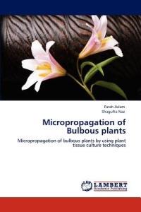 Micropropagation of Bulbous Plants - Farah Aslam,Shagufta Naz - cover