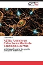 Aetn: Analisis de Estructuras Mediante Topologia Neuronal