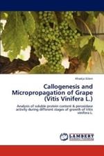 Callogenesis and Micropropagation of Grape (Vitis Vinifera L.)