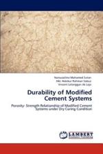 Durability of Modified Cement Systems
