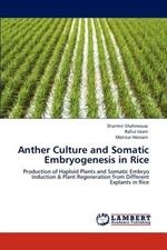 Anther Culture and Somatic Embryogenesis in Rice