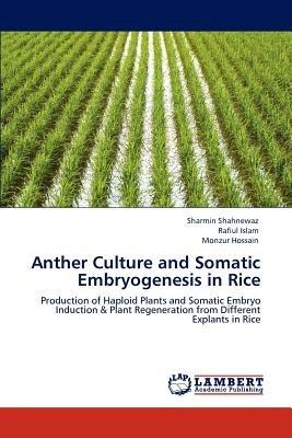 Anther Culture and Somatic Embryogenesis in Rice - Sharmin Shahnewaz,Rafiul Islam,Monzur Hossain - cover