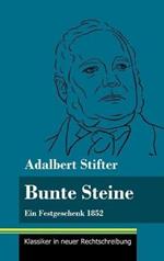 Bunte Steine: Ein Festgeschenk 1852 (Band 99, Klassiker in neuer Rechtschreibung)