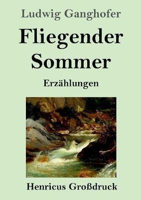 Fliegender Sommer (Grossdruck): Erzahlungen - Ludwig Ganghofer - cover