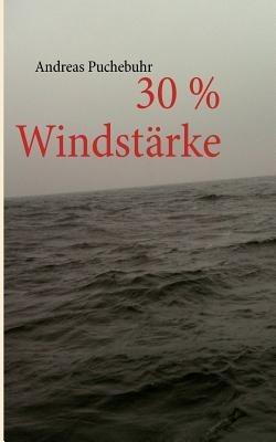 30 % Windstärke - Andreas Puchebuhr - cover