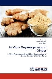 In Vitro Organogenesis in Ginger - Abdul Aziz,Monzur Hossain,Rafiul Islam - cover