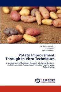 Potato Improvement Through In Vitro Techniques - Sk Amzad Hossain,Rafiul Islam,Monzur Hossain - cover