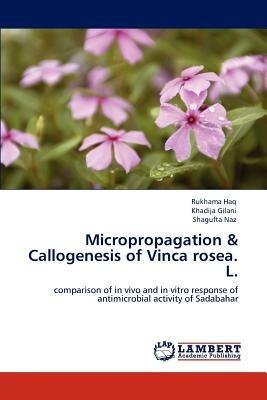Micropropagation & Callogenesis of Vinca rosea. L. - Rukhama Haq,Khadija Gilani,Shagufta Naz - cover