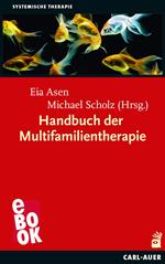 Handbuch der Multifamilientherapie