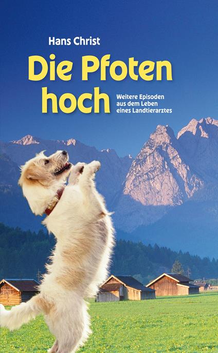 Die Pfoten hoch!
