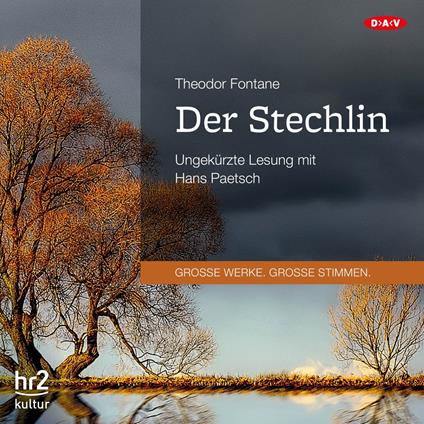 Der Stechlin (Ungekürzte Lesung)