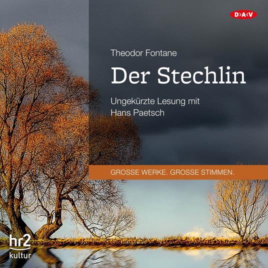 Der Stechlin (Ungekürzte Lesung)
