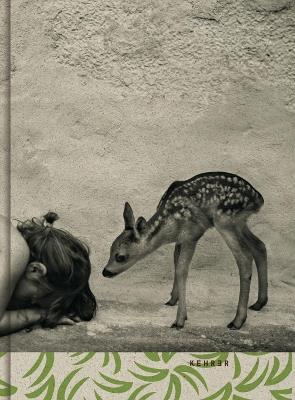Summer Of The Fawn - Alain Laboile - cover