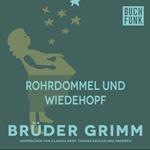 Rohrdommel und Wiedehopf
