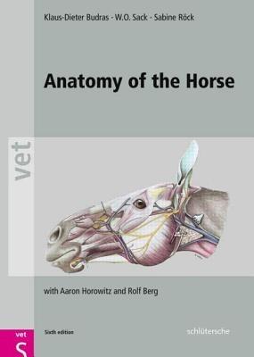 Anatomy of the Horse - Klaus Dieter Budras,W. O. Sack,Sabine Rock - cover