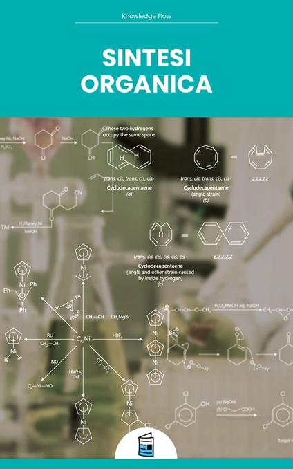 Sintesi Organica - Knowledge flow - ebook