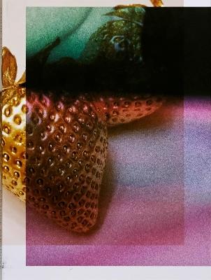 Paradise Paradoxe: Paradise Paradoxe - Elodie Pong - cover