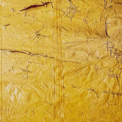 David Hammons - cover