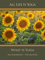 All Life Is Yoga: What is Yoga