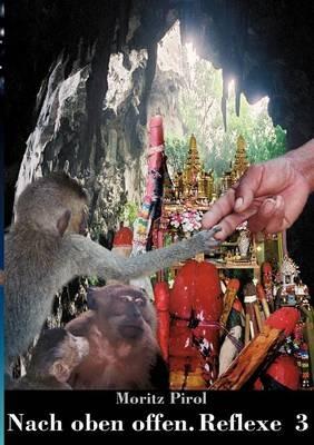 Nach oben offen. Reflexe 3 - Moritz Pirol - cover