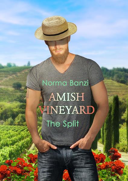 Amish Vineyard - The Split