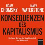 Konsequenzen des Kapitalismus