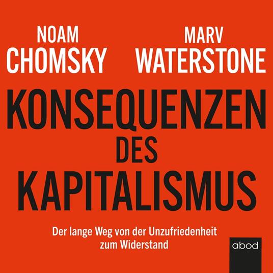 Konsequenzen des Kapitalismus