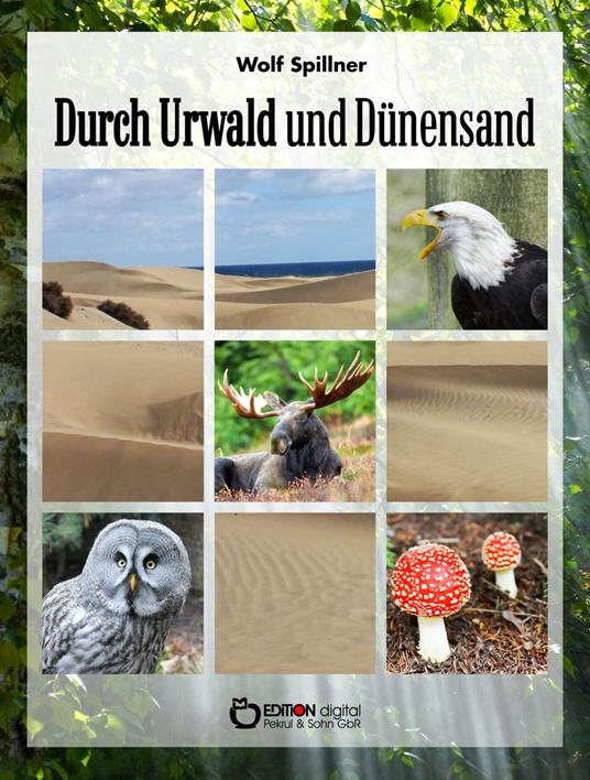Durch Urwald und Dünensand - Wolf Spillner - ebook