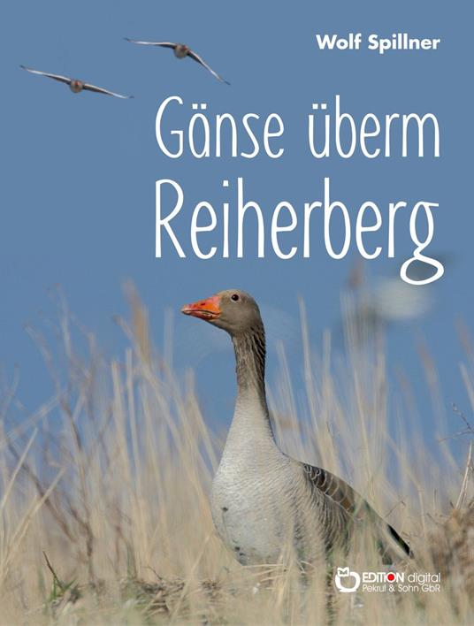 Gänse überm Reiherberg - Wolf Spillner - ebook
